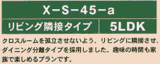 X-S-45-a