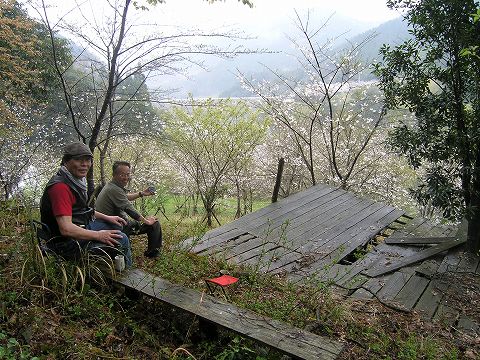 P1010006.jpg